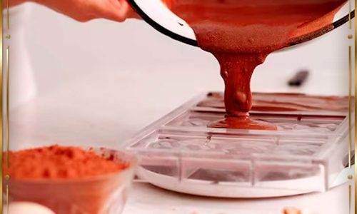 International Cacao Certification II – Certification On line